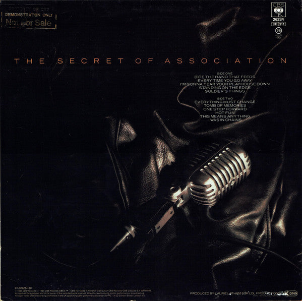 Paul Young - The Secret Of Association