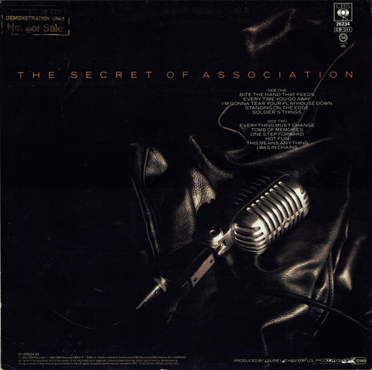 Paul Young - The Secret Of Association