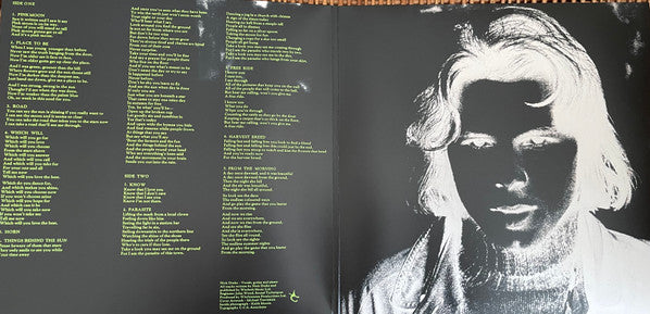 Nick Drake - Pink Moon (nuovo)