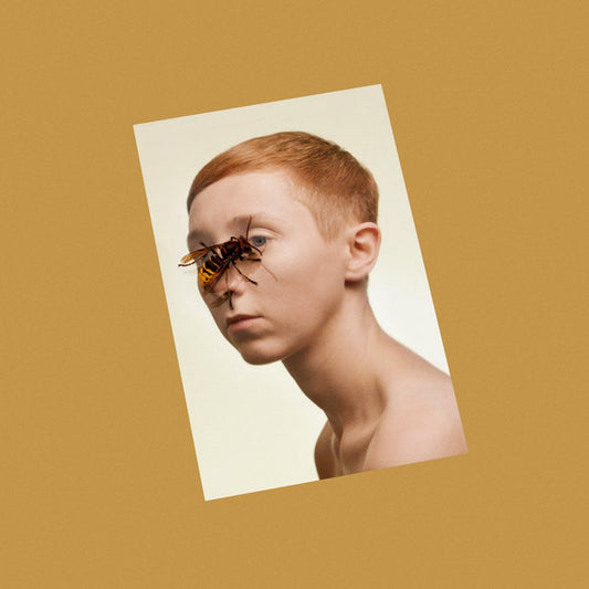 LIM - Higher Living
