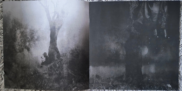 Opeth - Blackwater Park (nuovo)