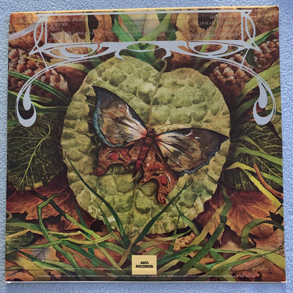 Spyro Gyra - Morning Dance