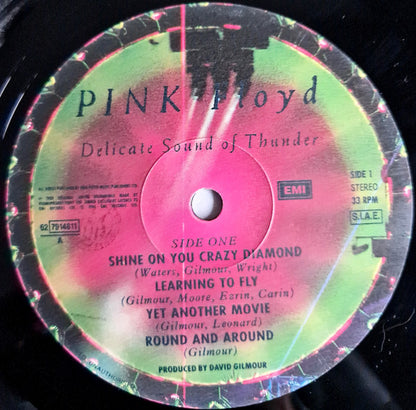 Pink Floyd - Delicate Sound Of Thunder