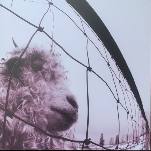 Pearl Jam - Vs. (nuovo) 30° anniversario