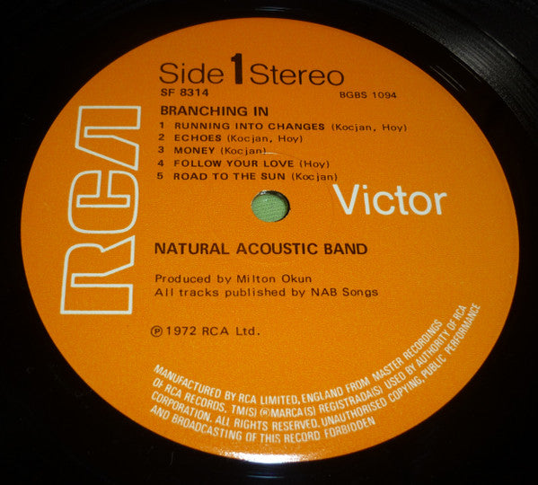 Natural Acoustic Band - Branching In