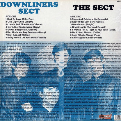 Downliners Sect - The Sect
