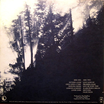 Dan Fogelberg - Nether Lands