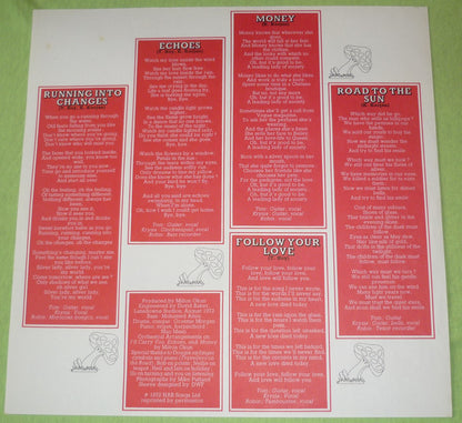 Natural Acoustic Band - Branching In