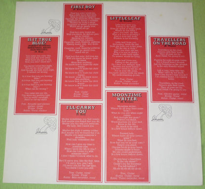 Natural Acoustic Band - Branching In