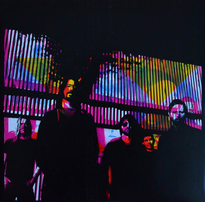 Foo Fighters - Wasting Light (nuovo)