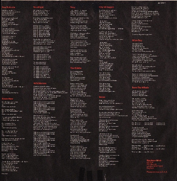 Nik Kershaw - The Riddle