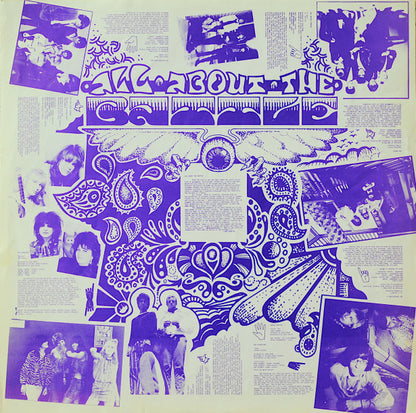 Various - Battle Of The Garages, Vol. 3: The Paisley Underground