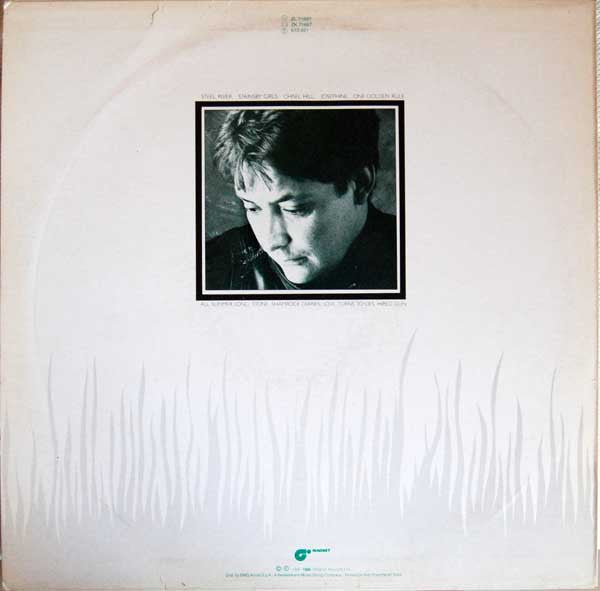 Chris Rea - Shamrock Diaries