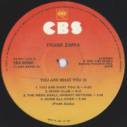 Frank Zappa - You Are What You Is