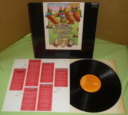 Natural Acoustic Band - Branching In