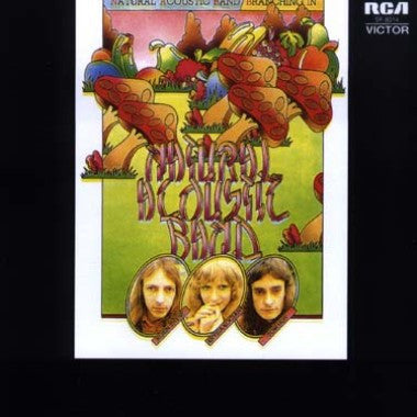 Natural Acoustic Band - Branching In