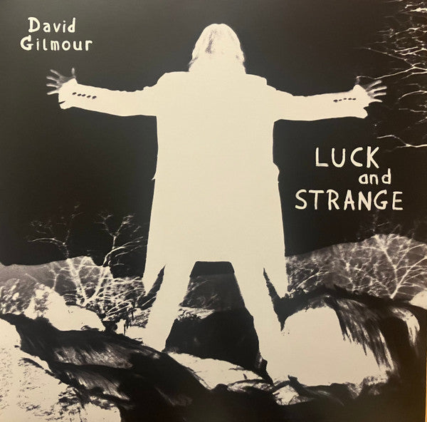 David Gilmour - Luck And Strange