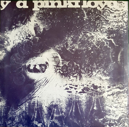Pink Floyd - A Nice Pair