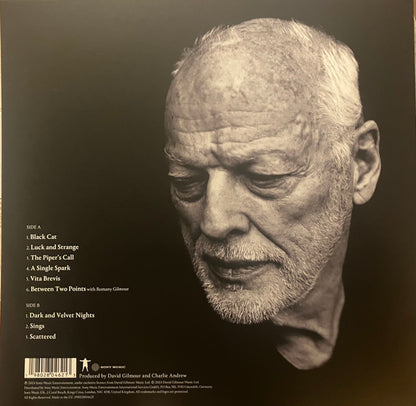 David Gilmour - Luck And Strange