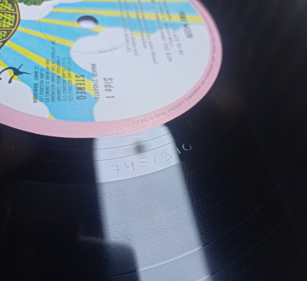 Nick Drake - Pink Moon (nuovo)