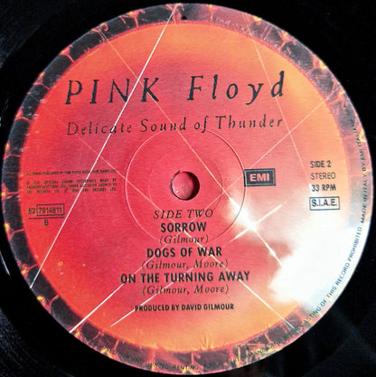 Pink Floyd - Delicate Sound Of Thunder