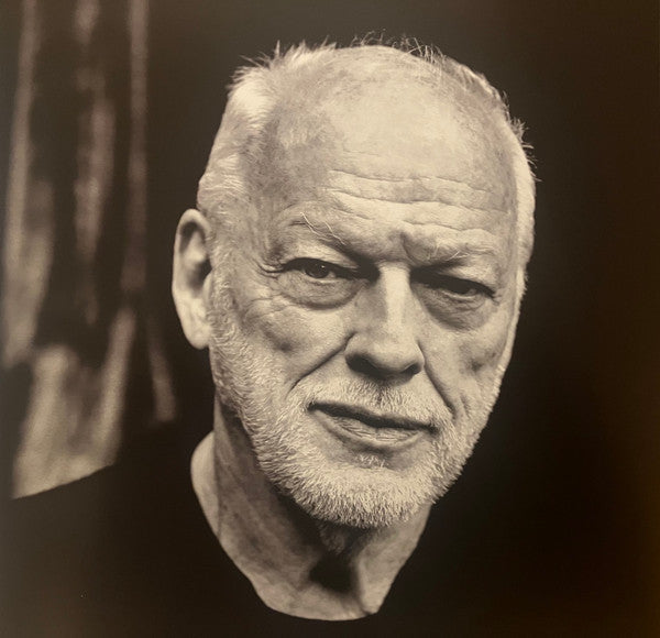 David Gilmour - Luck And Strange