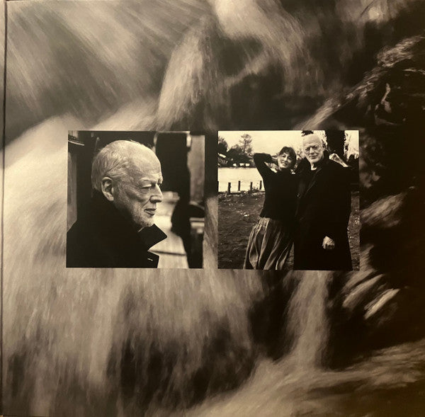 David Gilmour - Luck And Strange