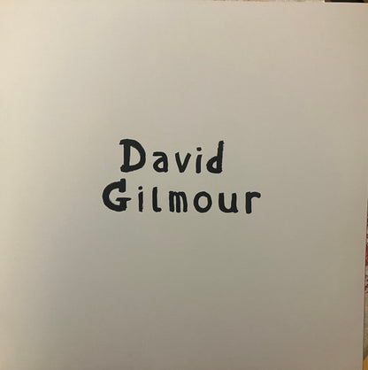 David Gilmour - Luck And Strange