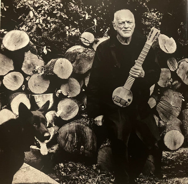 David Gilmour - Luck And Strange