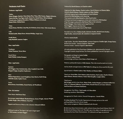 David Gilmour - Luck And Strange
