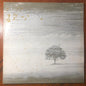 Genesis - Wind & Wuthering