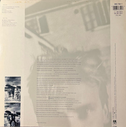 Sting - The Dream Of The Blue Turtles