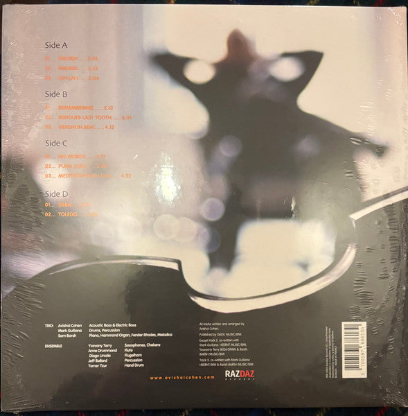 Avishai Cohen Trio - At Home
