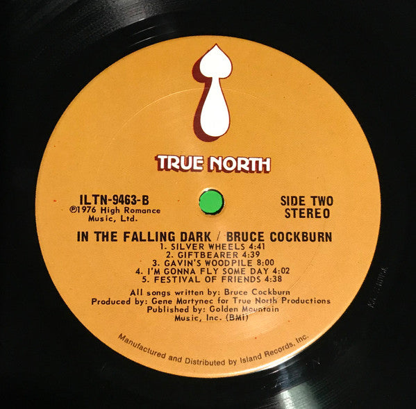 Bruce Cockburn - In The Falling Dark