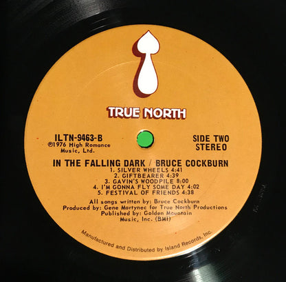 Bruce Cockburn - In The Falling Dark