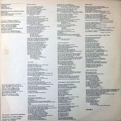 Peter Hammill - Over