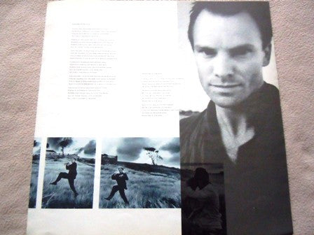 Sting - The Dream Of The Blue Turtles