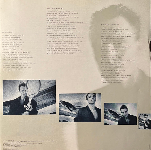 Sting - The Dream Of The Blue Turtles