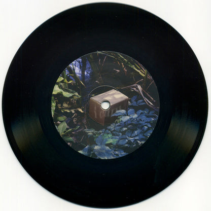 I Cani - Nascosta In Piena Vista / Asperger (nuovo)