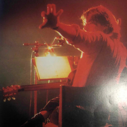 Fabrizio De André - Fabrizio De André In Concerto - Arrangiamenti PFM