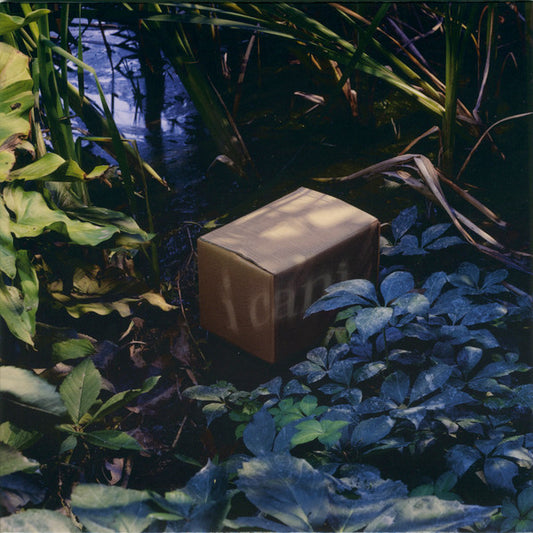 I Cani - Nascosta In Piena Vista / Asperger (nuovo)