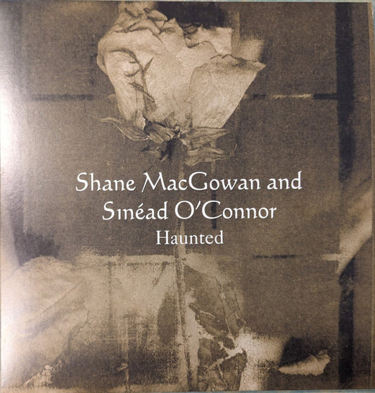 Shane MacGowan - Haunted