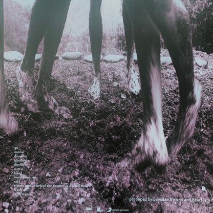 Pearl Jam - Vs. (nuovo) 30° anniversario