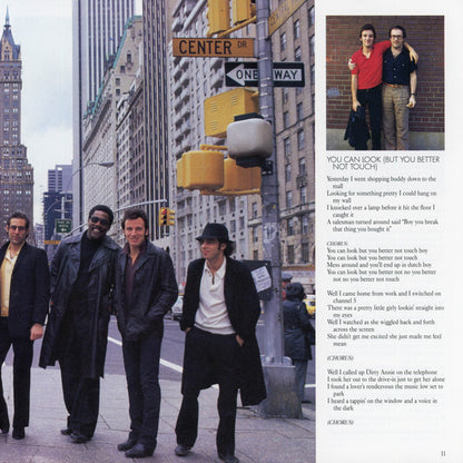 Bruce Springsteen & The E-Street Band - Live/1975-85 (box)
