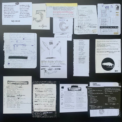 Pearl Jam - Vs. (nuovo) 30° anniversario