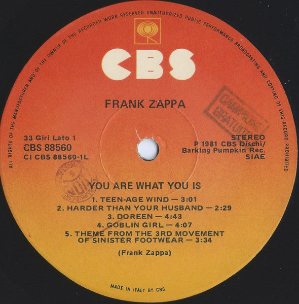 Frank Zappa - You Are What You Is
