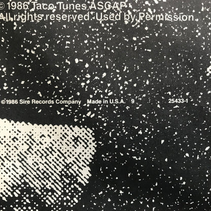 Ramones - Animal Boy