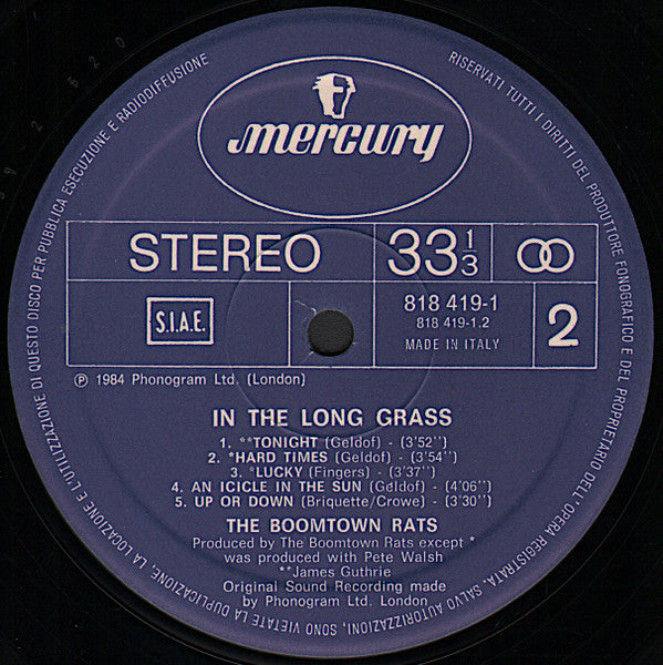 The Boomtown Rats - In The Long Grass
