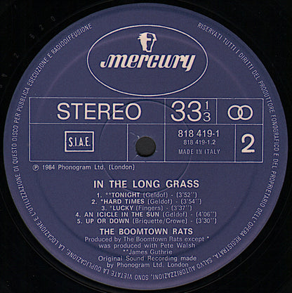 The Boomtown Rats - In The Long Grass