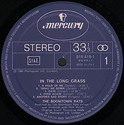 The Boomtown Rats - In The Long Grass